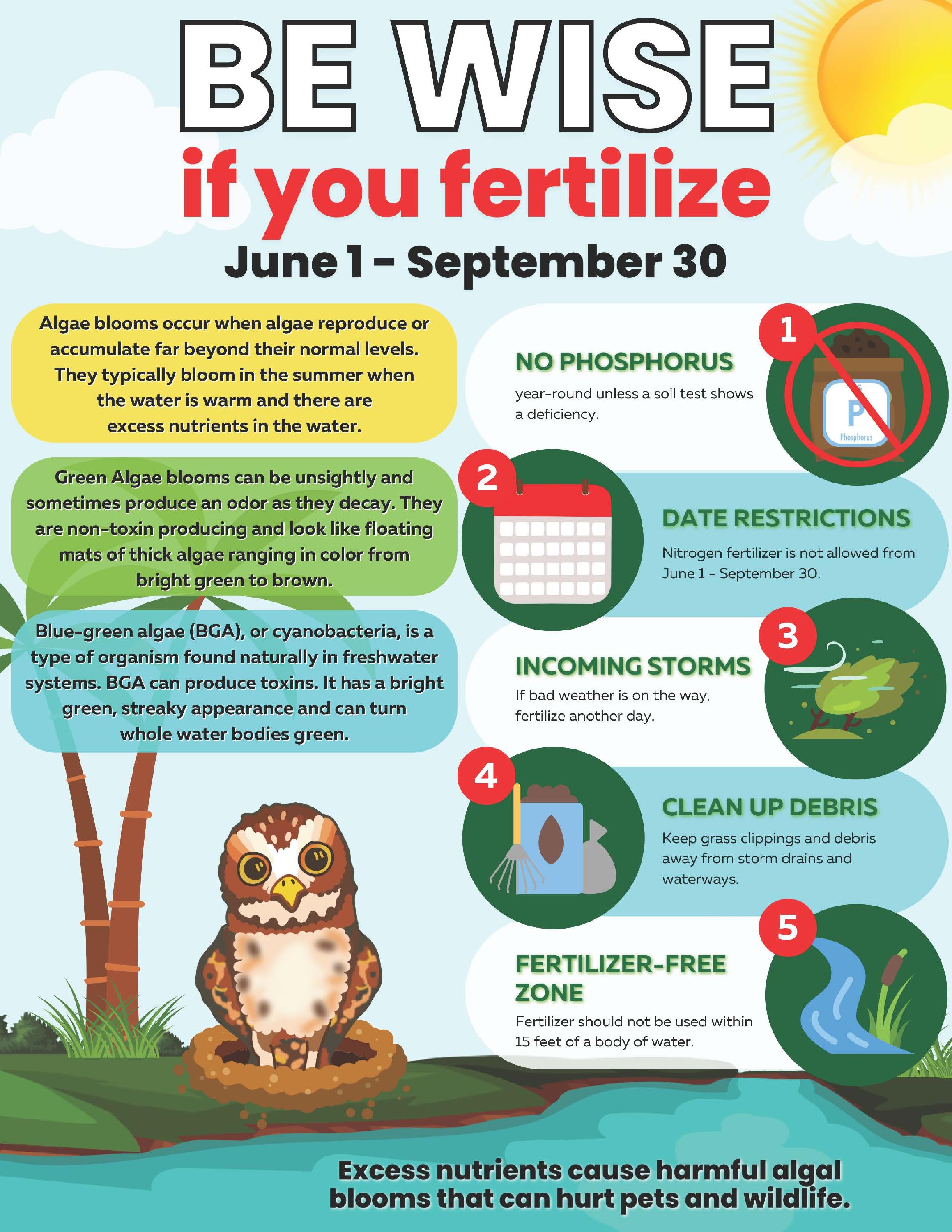 Be Wise Full Page Ad